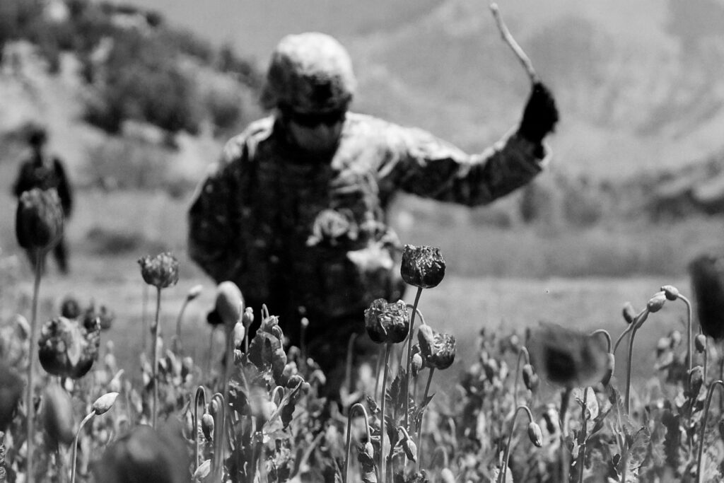 Opiumfelder Afghanistan